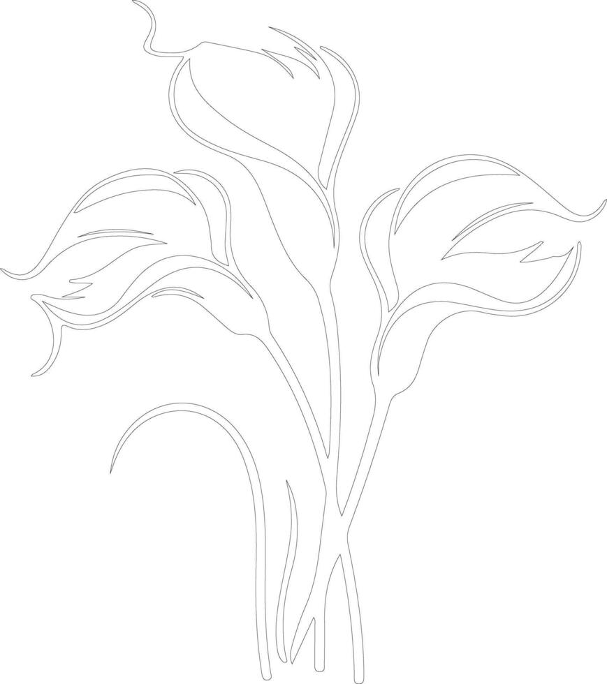 AI generated calla lily  outline silhouette vector