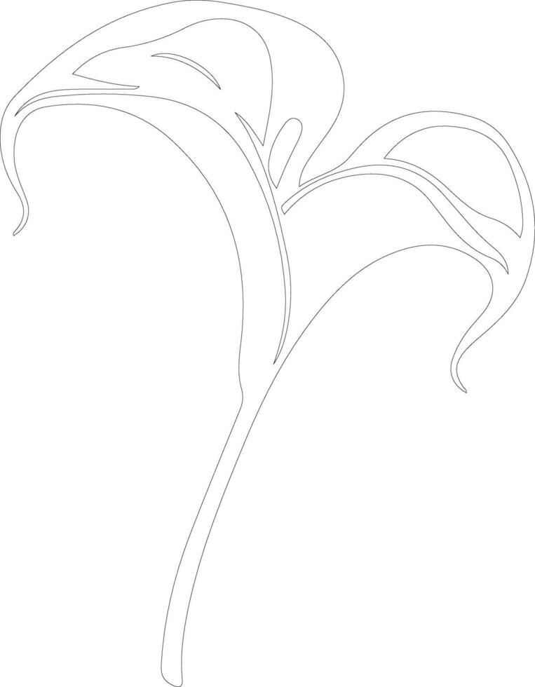AI generated calla lily  outline silhouette vector