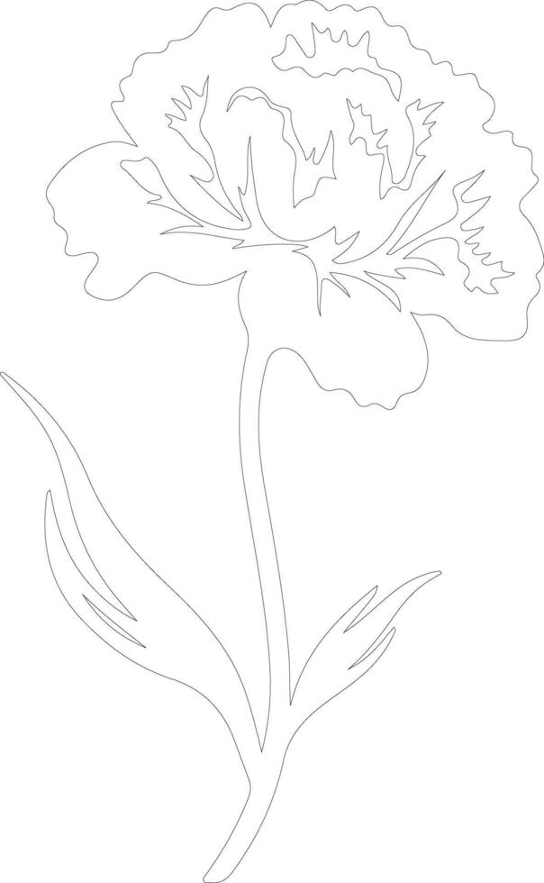 AI generated carnation  outline silhouette vector