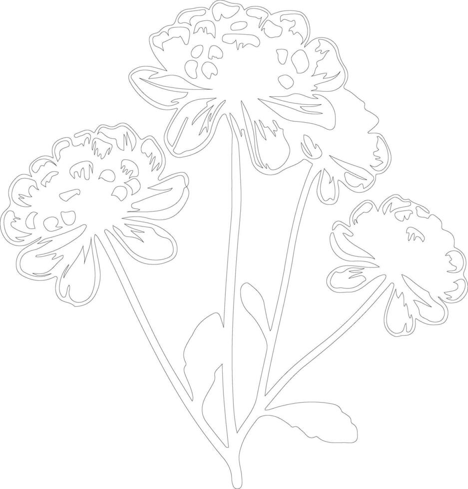 AI generated candytuft  outline silhouette vector