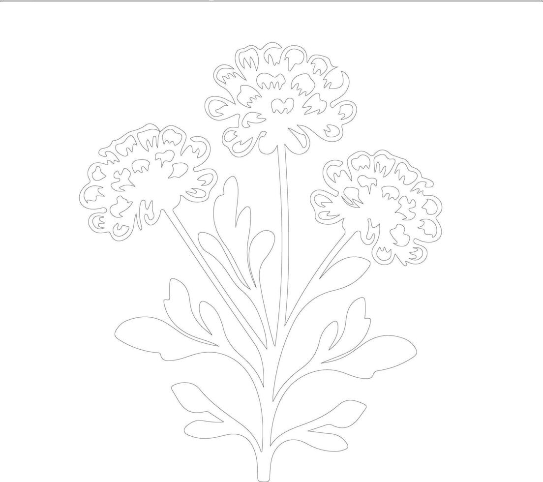 AI generated candytuft  outline silhouette vector