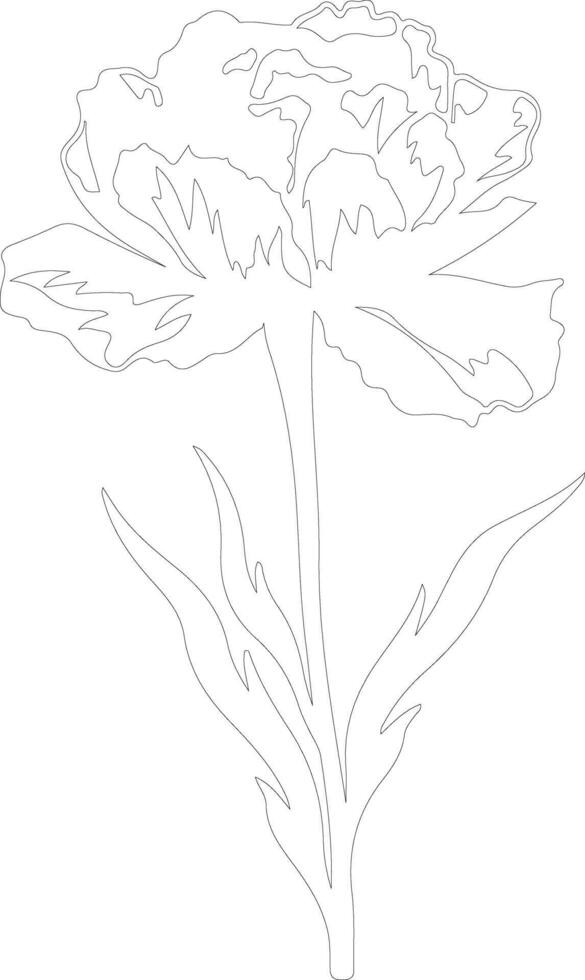 AI generated carnation outline silhouette vector