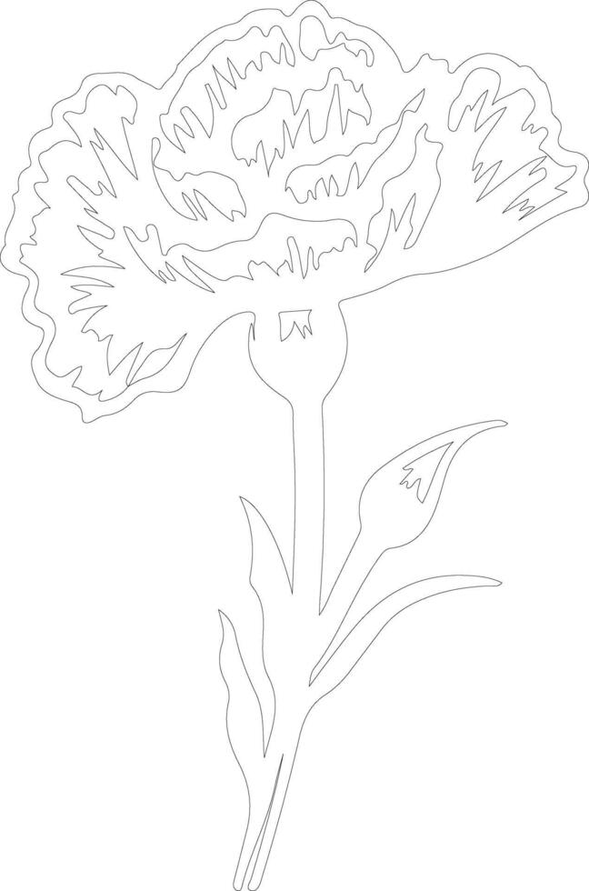 AI generated carnation  outline silhouette vector