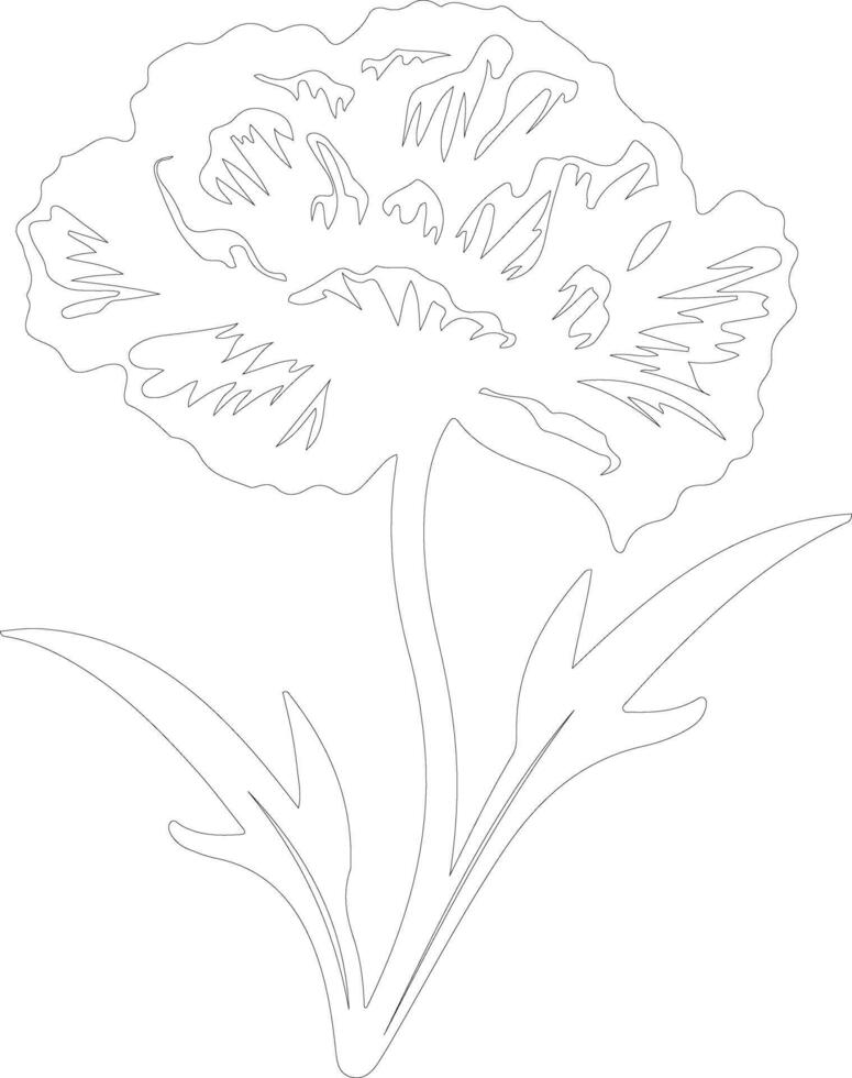 AI generated carnation  outline silhouette vector