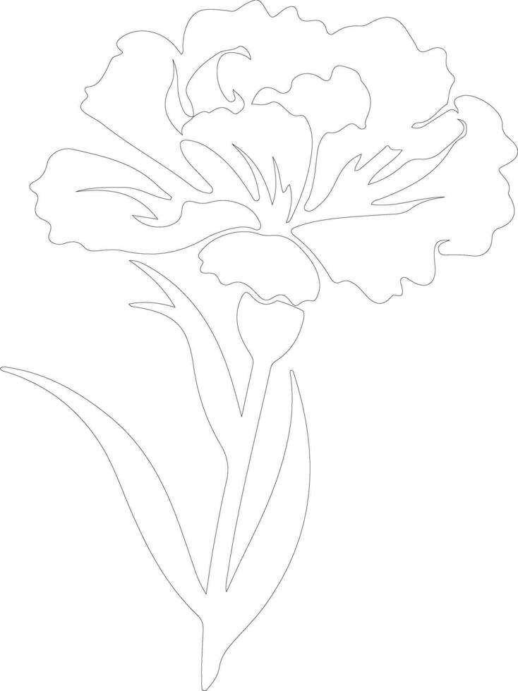 AI generated carnation  outline silhouette vector