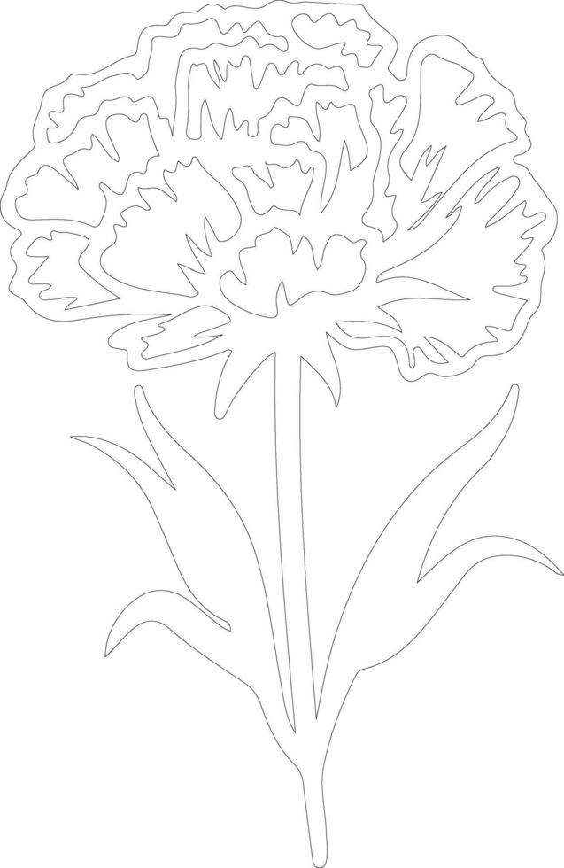 AI generated carnation  outline silhouette vector