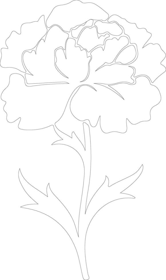 AI generated carnation  outline silhouette vector