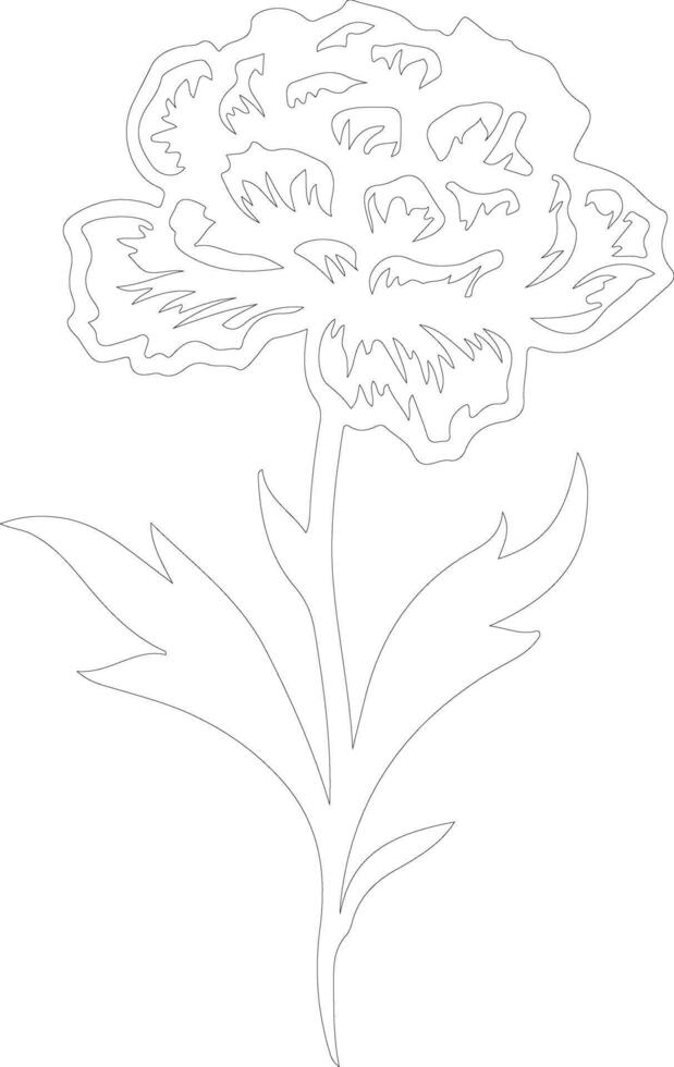 AI generated carnation  outline silhouette vector