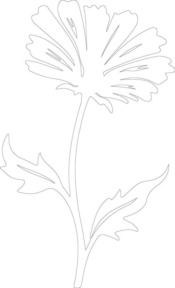 AI generated chicory  outline silhouette vector
