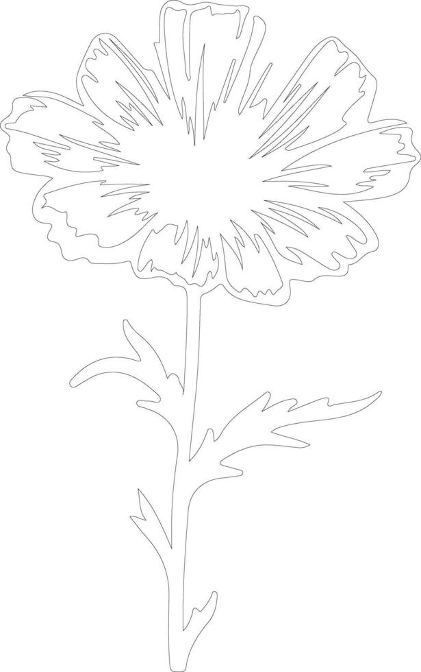 AI generated chicory outline silhouette vector