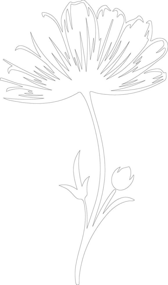 AI generated chicory  outline silhouette vector