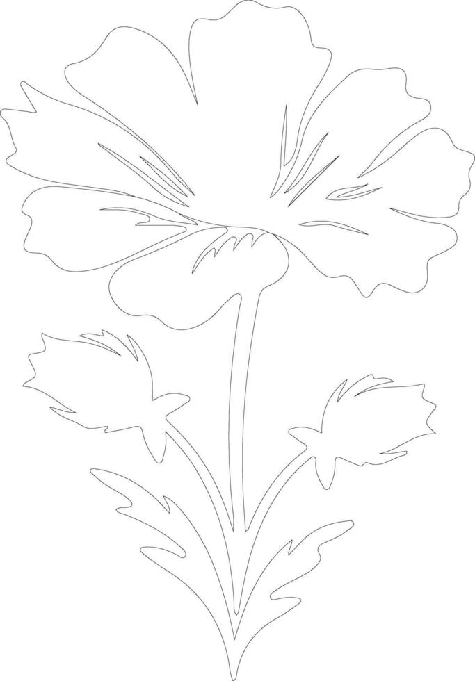 AI generated chicory  outline silhouette vector