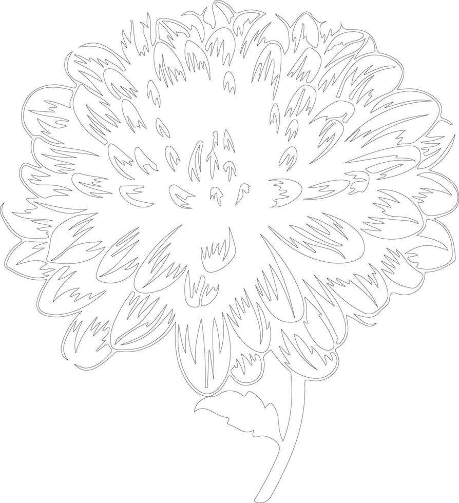 AI generated chrysanthemum  outline silhouette vector