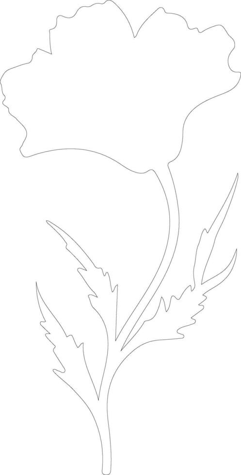 AI generated chicory  outline silhouette vector