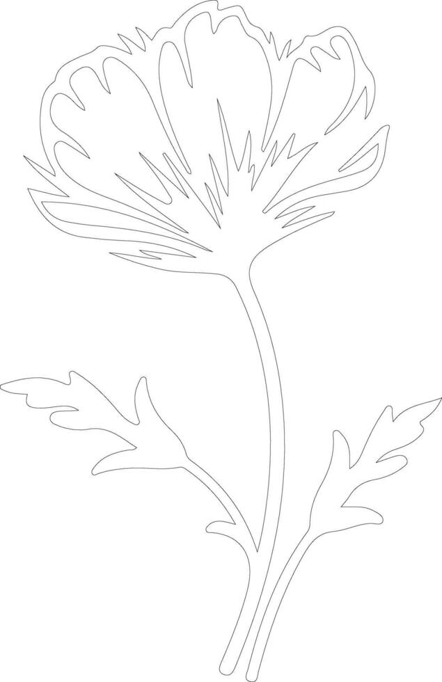 AI generated chicory  outline silhouette vector