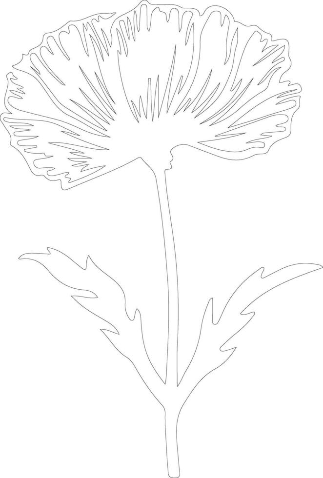 AI generated chicory  outline silhouette vector
