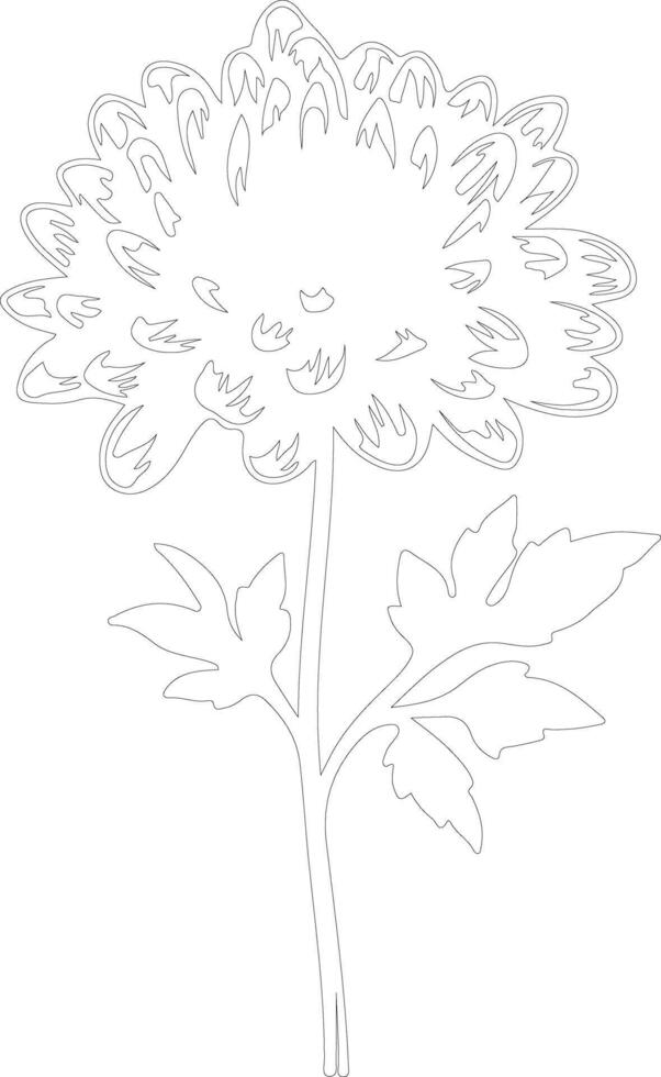 AI generated chrysanthemum  outline silhouette vector