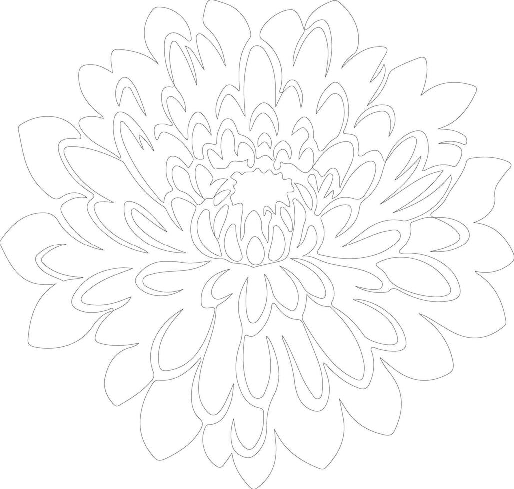 AI generated chrysanthemum  outline silhouette vector