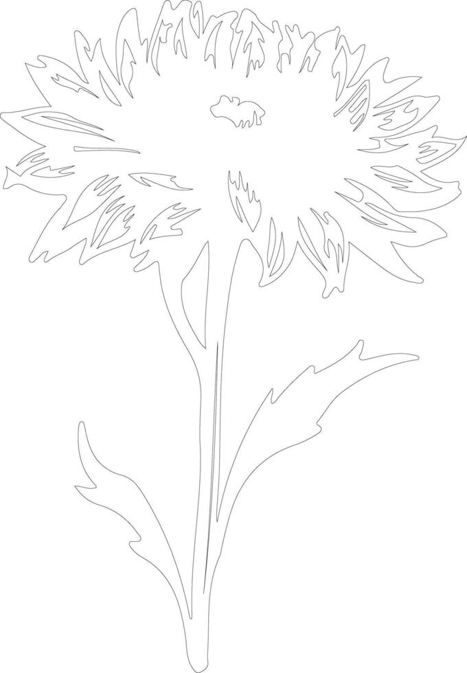 AI generated cornflower  outline silhouette vector