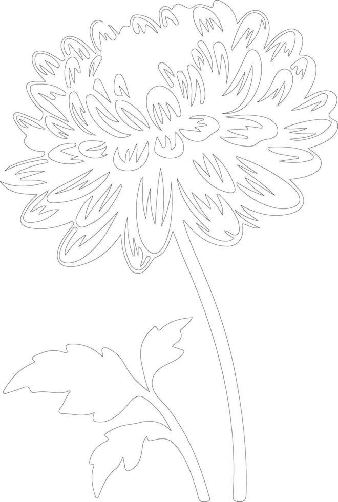 AI generated chrysanthemum  outline silhouette vector