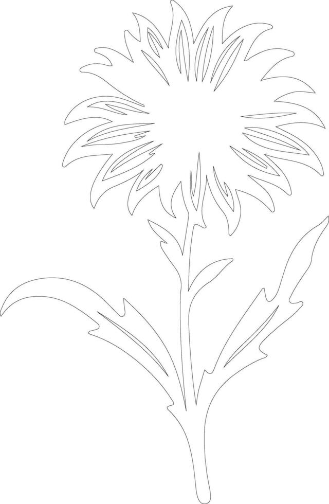 AI generated cornflower  outline silhouette vector