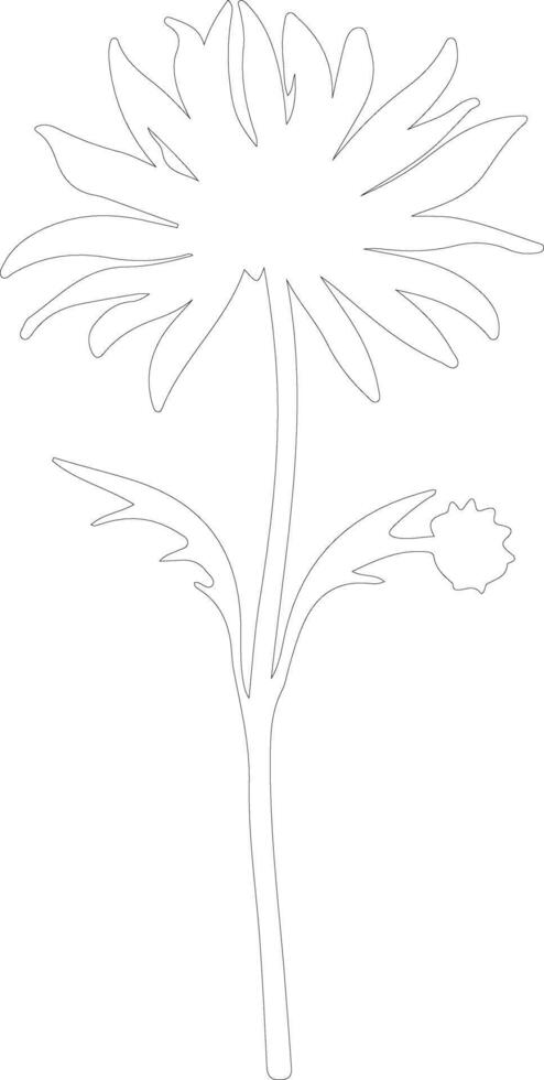 AI generated cornflower  outline silhouette vector