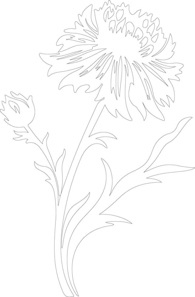 AI generated cornflower  outline silhouette vector