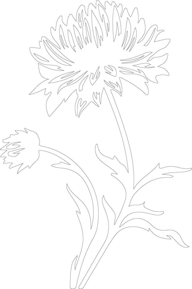 AI generated cornflower  outline silhouette vector
