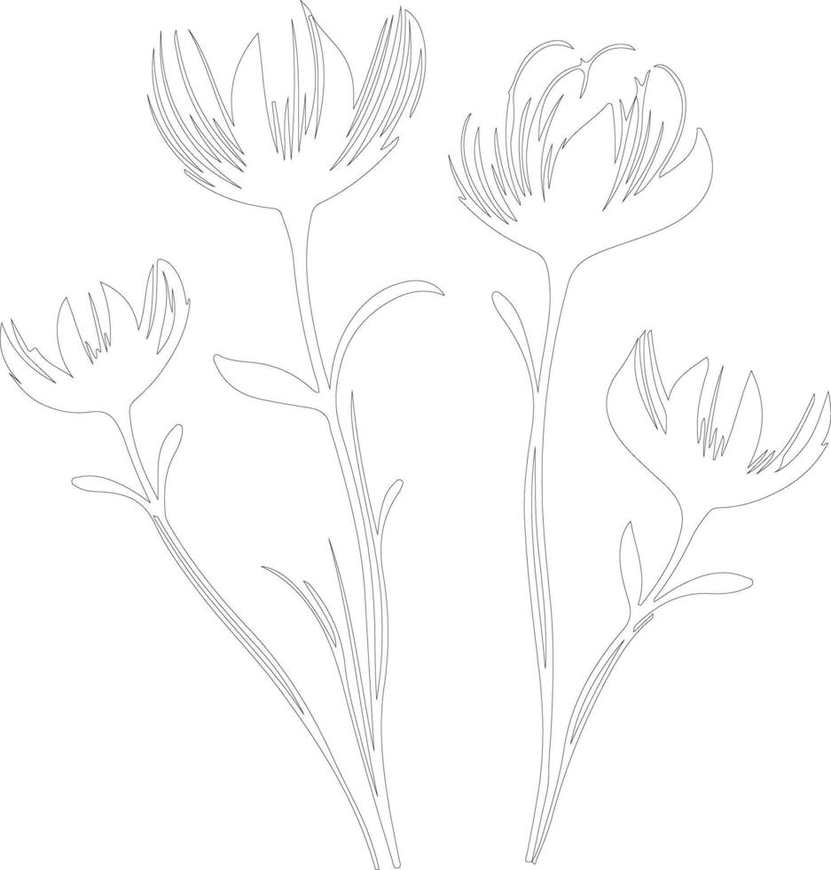 AI generated crocus outline silhouette vector