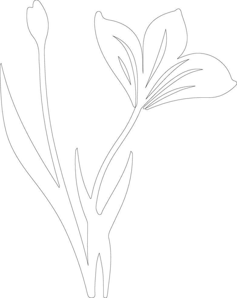 AI generated crocus  outline silhouette vector