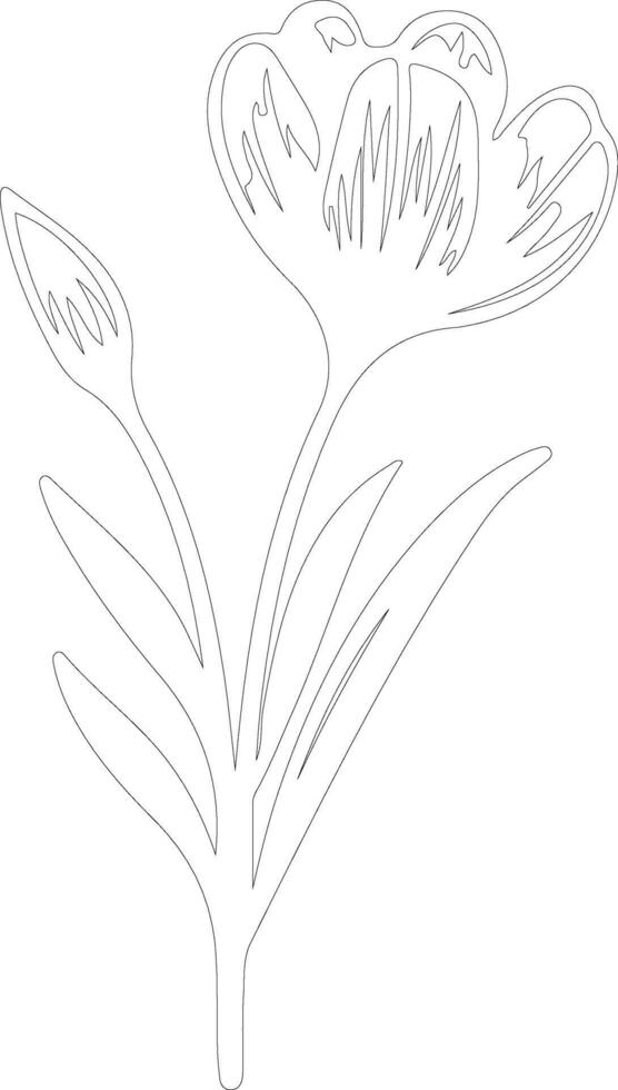 AI generated crocus  outline silhouette vector