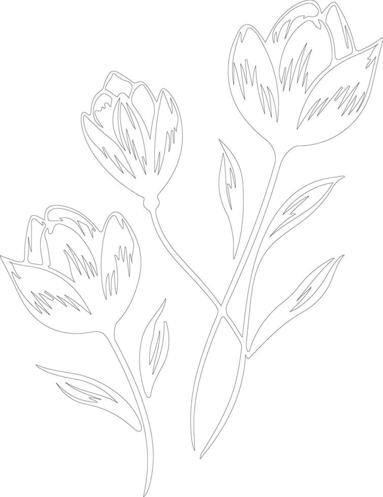 AI generated crocus  outline silhouette vector