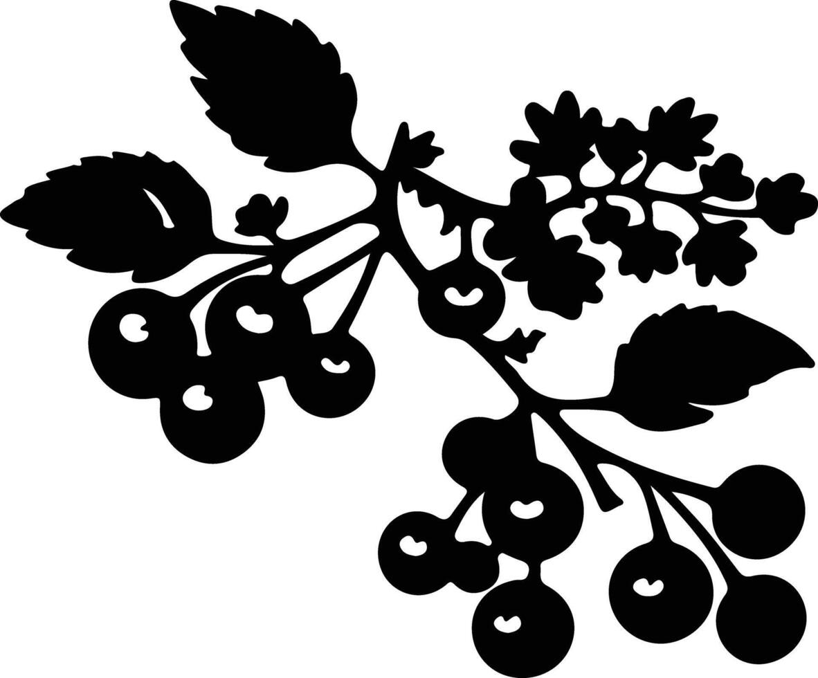 AI generated hawthorn black silhouette vector