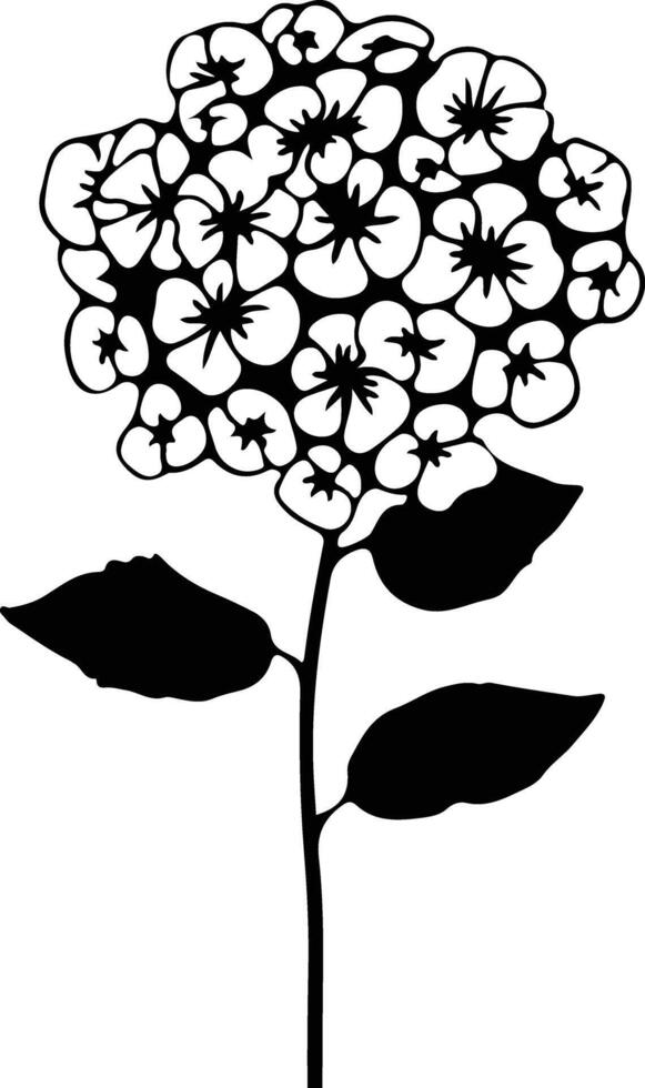 AI generated lantana  black silhouette vector