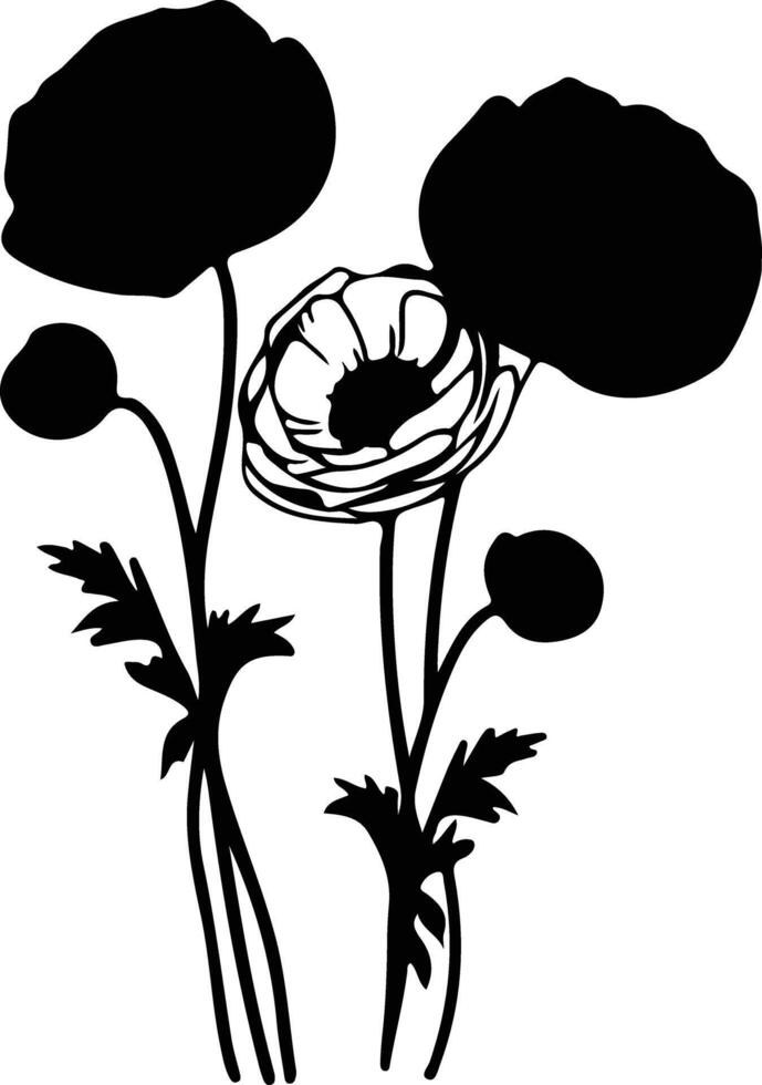 AI generated ranunculus black silhouette vector