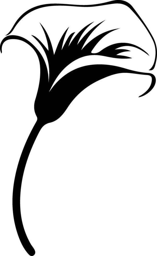 AI generated calla lily  black silhouette vector