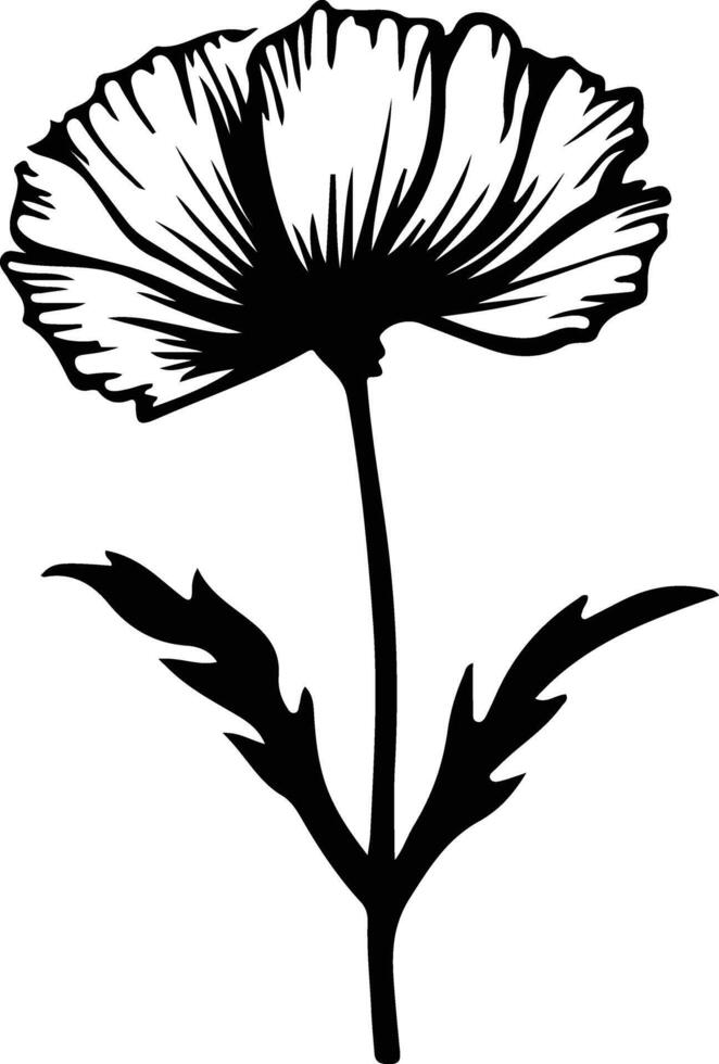 AI generated chicory  black silhouette vector