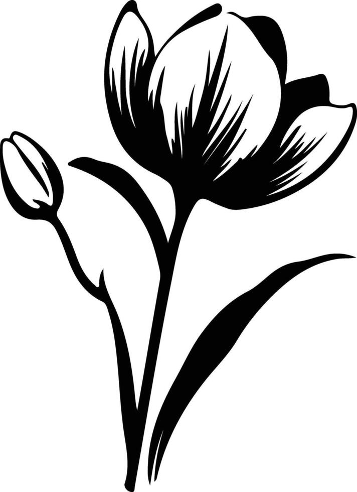 AI generated crocus  black silhouette vector