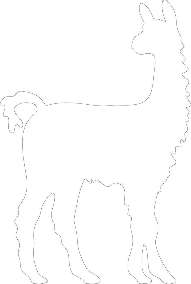 AI generated llama  outline silhouette vector