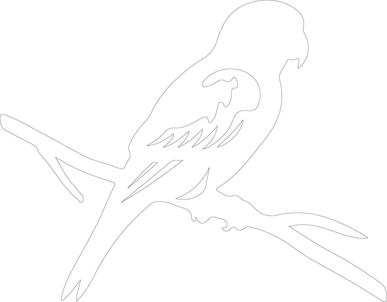 AI generated lorikeet  outline silhouette vector