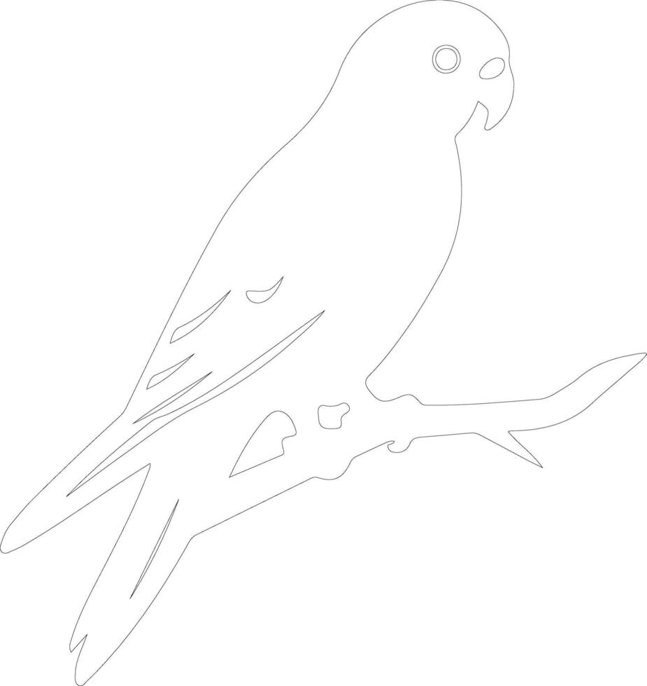 AI generated lorikeet  outline silhouette vector