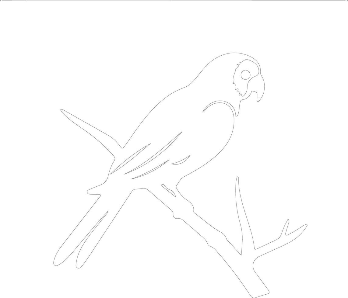 AI generated lorikeet  outline silhouette vector