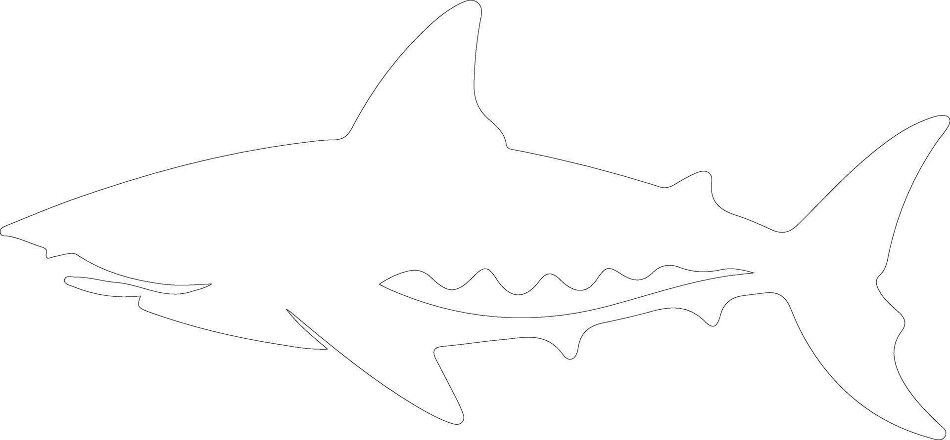 AI generated luminous shark  outline silhouette vector