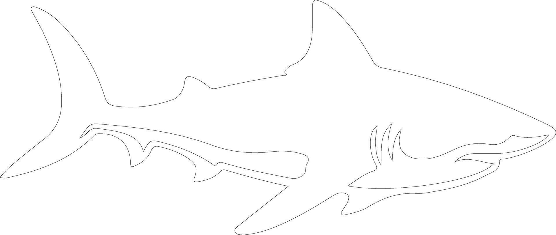 AI generated luminous shark  outline silhouette vector