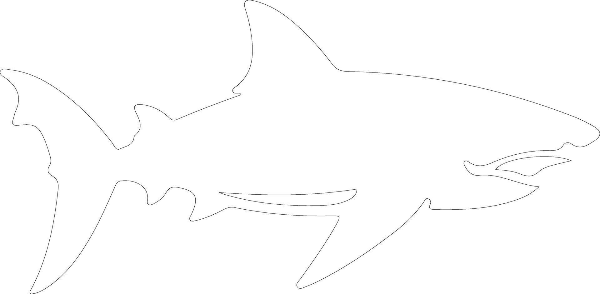 AI generated luminous shark  outline silhouette vector