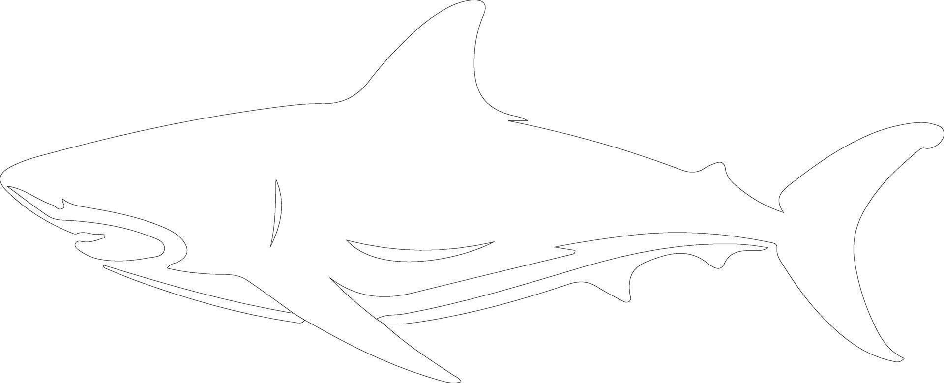 AI generated luminous shark  outline silhouette vector