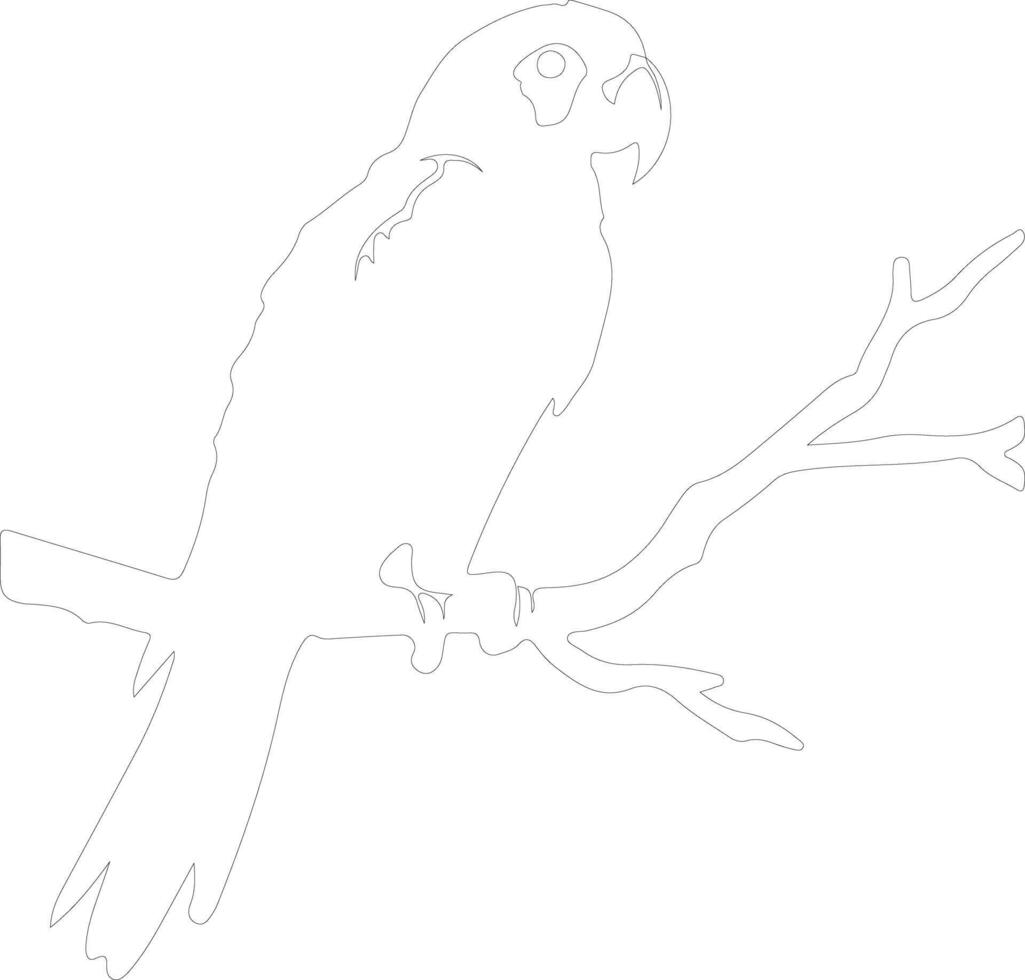 AI generated macaw  outline silhouette vector