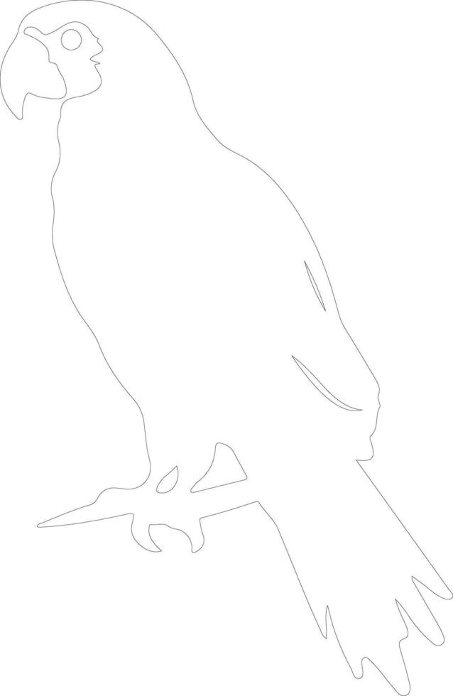 AI generated macaw outline silhouette vector