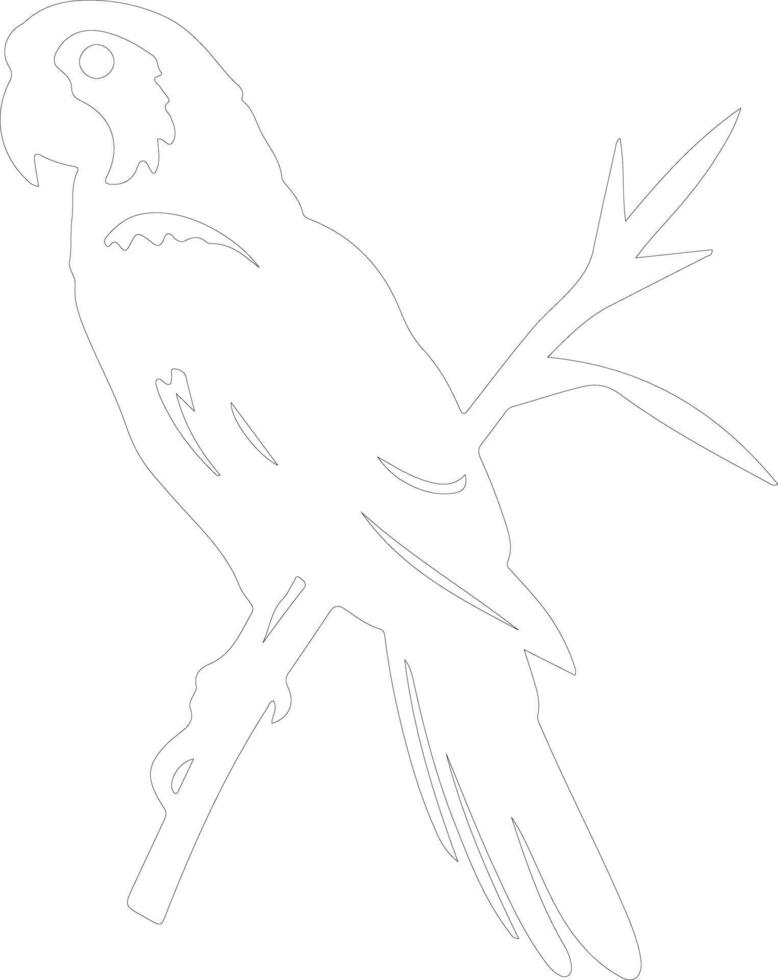 AI generated macaw  outline silhouette vector
