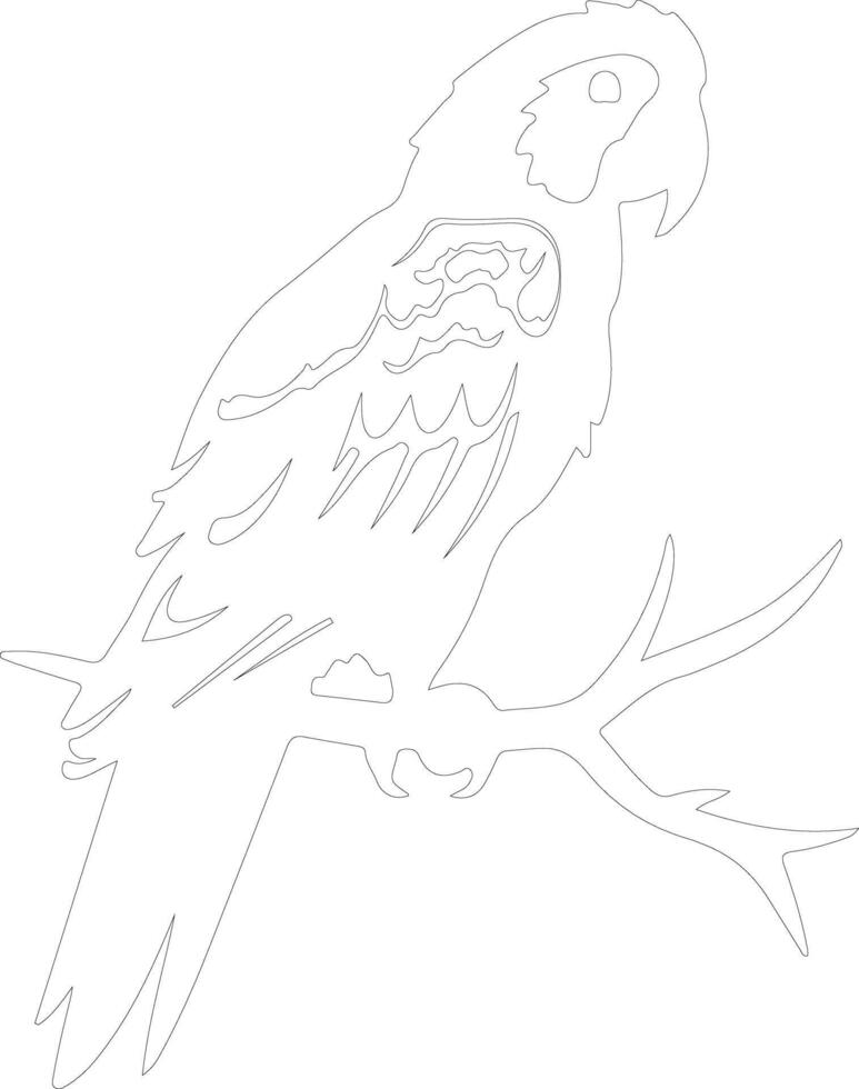 AI generated macaw  outline silhouette vector